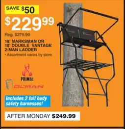 Dunham's Sports 18' MARKSMAN OR 18' DOUBLE VANTAGE 2-MAN LADDER offer