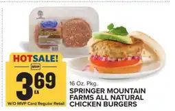Food Lion Springer Mountain Farms All Natural Chicken Burgers offer