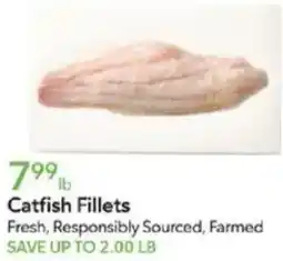 Publix Catfish Fillets offer