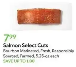 Publix Salmon Select Cuts offer