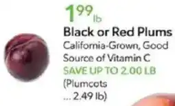 Publix Black or Red Plums offer