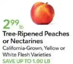 Publix Tree-Ripened Peaches or Nectarines offer