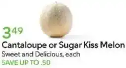 Publix Cantaloupe or Sugar Kiss Melon offer