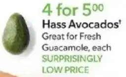 Publix Hass Avocados offer