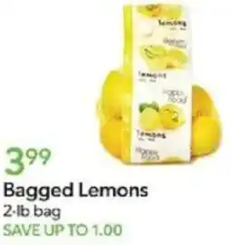 Publix Bagged Lemons 2-lb bag offer