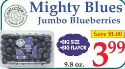 Market Basket Mighty Blues Jumbo Blueberries offer