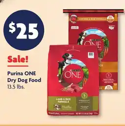 Family Dollar Purina ONE Dry Dog Food offer