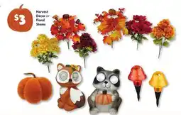Family Dollar Harvest Décor or Floral Stems offer