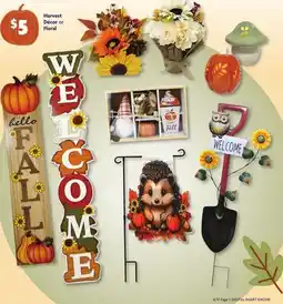 Family Dollar Harvest Décor or Floral offer