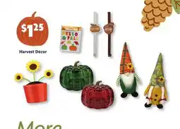 Family Dollar Harvest Dècor offer