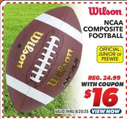 Big 5 Wilson NCAA Composite Official Football offer