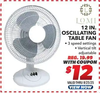 Big 5 LOMI 12 Oscillating Table Fan offer