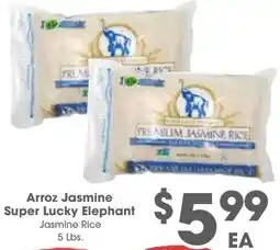 Arteagas Food Center Arroz Jasmine Super Lucky Elephant offer