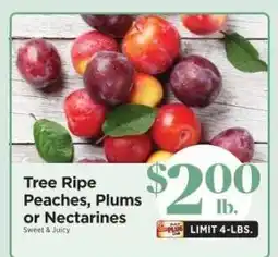 ShopRite Tree Ripe Peaches, Plums or Nectarines offer