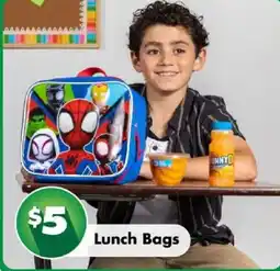 Dollar Tree Lunch Bags offer