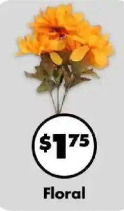Dollar Tree Floral offer
