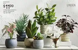 JC Penney Linden Greenery offer