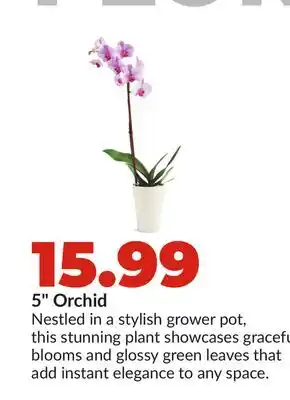 Hy-Vee 5 Orchid offer