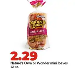 Hy-Vee Nature's Own or Wonder mini loaves offer