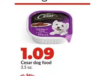 Hy-Vee Cesar dog food offer