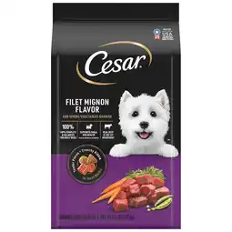 Walgreens Dry Dog Food Filet Mignon offer