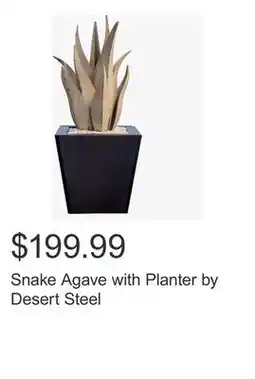 Costco Snake Agave with Planter by Desert Steel offer