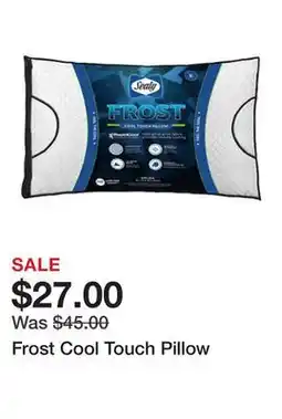 Belk Frost Cool Touch Pillow offer