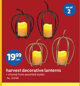 Lidl harvest decorative lanterns offer