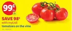 Lidl tomatoes on the vine offer