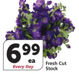 Albertsons Fresh Cut Stock offer