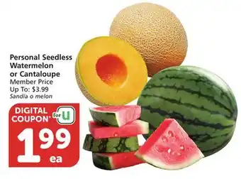 Albertsons Personal Seedless Watermelon or Cantaloupe offer