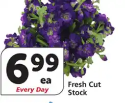 Vons Fresh Cut Stock offer