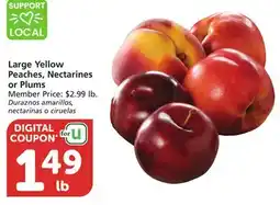 Vons Large Yellow Peaches, Nectarines or Plums offer