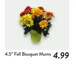Fresh Thyme 4.5 Fall Bouquet Mums offer