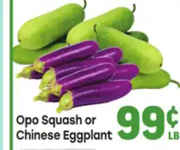 Tony’s Fresh Market Opo Squash or Chinese Eggplant offer