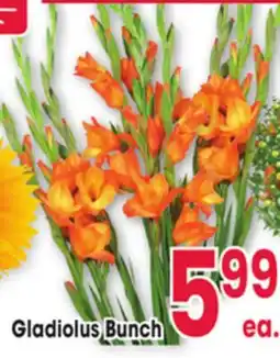 Jewel-Osco Gladiolus Bunch offer