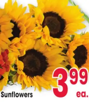 Jewel-Osco Sunflowers offer