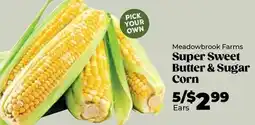 Roche Bros Meadowbrook farms super sweet butter & sugar corn offer