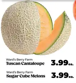 Roche Bros Tuscan Cantaloupe offer