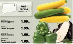 Roche Bros B&B Farms fresh summer squash offer