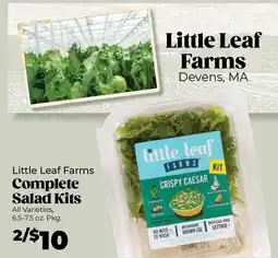 Roche Bros Little Leaf Farms complete salad kits offer