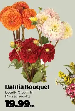 Roche Bros Dahlia Bouquet offer