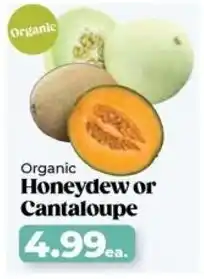 Roche Bros Organic Honeydew or Cantaloupe offer