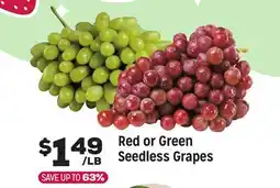 Grocery Outlet Red or Green Seedless Grapes offer