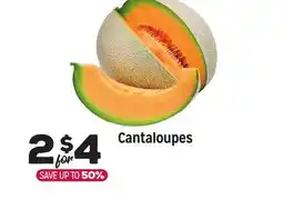 Grocery Outlet Cantaloupes offer