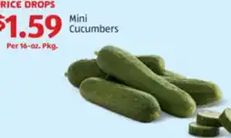 Aldi Mini Cucumbers offer
