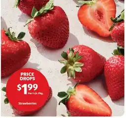 Aldi Strawberries offer
