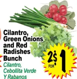Superior Grocers Cilantro, Green Onions and Red Radishes Bunch offer