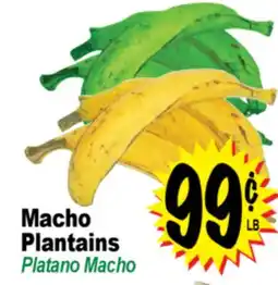 Superior Grocers Macho Plantains offer