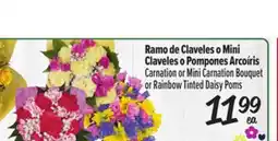 El Super Fresh Carnation or Mini Carnation Bouquet or Rainbow Tinted Daisy Poms offer